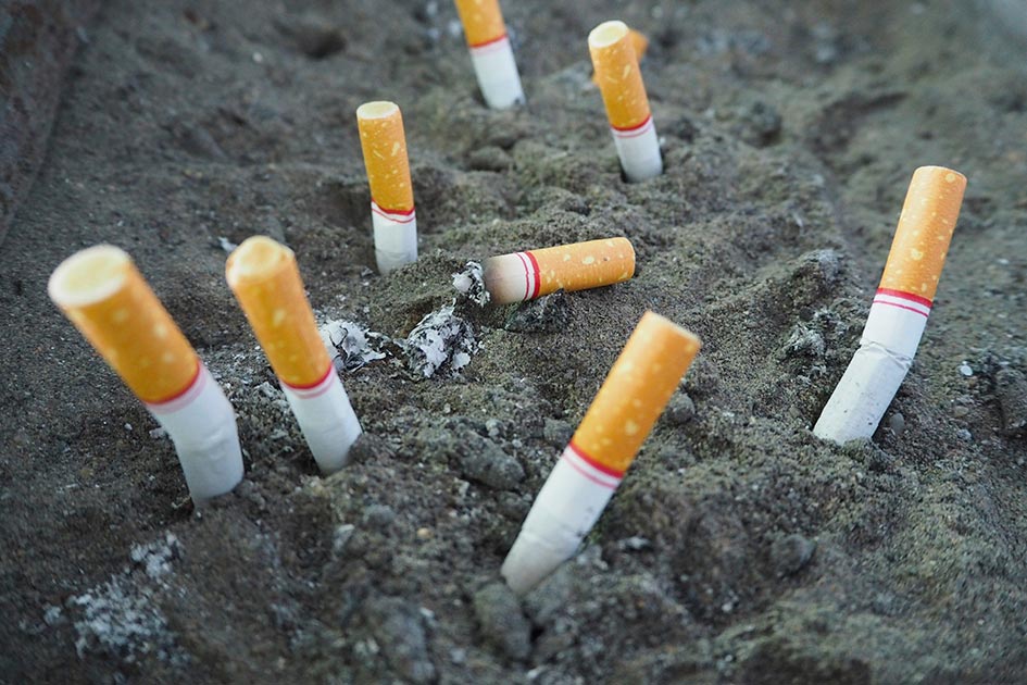 Triggering change through the decades